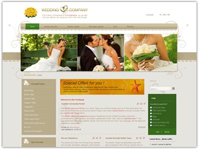 DJ Wedding01 Joomla Template