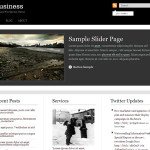 iBusiness Wordpress Corporate Theme