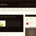 Reinvent Wordpress Affiliate Theme