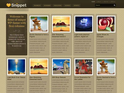 Snippet Wordpress Magazine Theme