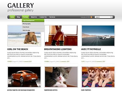 Gallery 2.1 Wordpress Product Reviews Theme