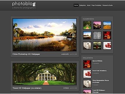 PhotoBlog Wordpress Photographers Theme