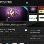 Professional 1.3 Wordpress Portfolio Theme