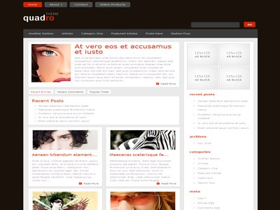 Quadro Wordpress Blog Style Theme