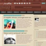 CherryTruffle Wordpress Fresh Blogs Theme