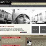 ColdStone Wordpress Business Style Theme