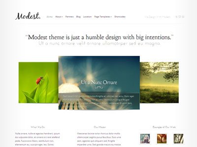 Modest Wordpress Web Design Theme