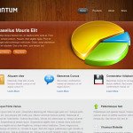 Quantum Wordpress Internet Marketing Theme