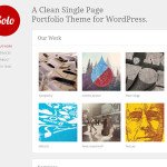 Solo Wordpress Single Page Portfolio Theme