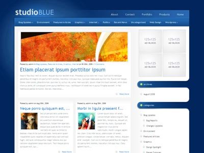 StudioBlue Wordpress Blogging Theme