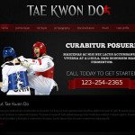 Magic Martial Arts Joomla School Template