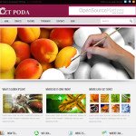 ZT Poda Joomla Contractor Template