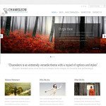 Chameleon Wordpress Blog Style Theme