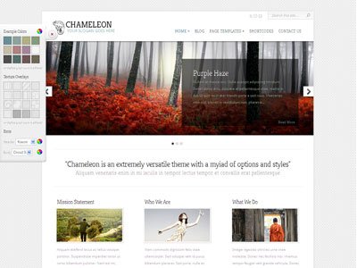 Chameleon Wordpress Blog Style Theme