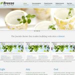 Breeze Joomla Web Design Template