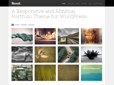 Reveal Wordpress Portfolio Theme