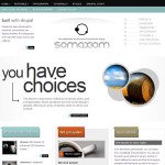 Somaxiom Drupal Business Theme