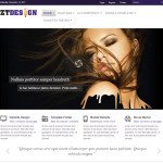 ZT Design Joomla Online Portfolio Template