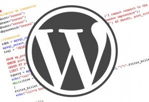 WordPress Expert Advice