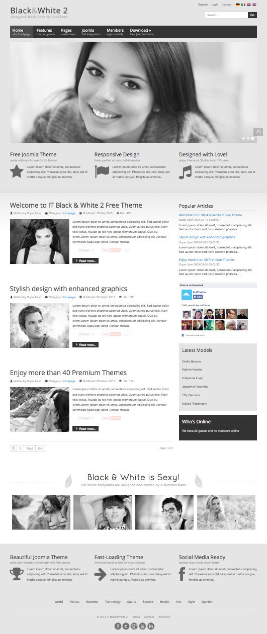 IT Black White 2 Joomla Template
