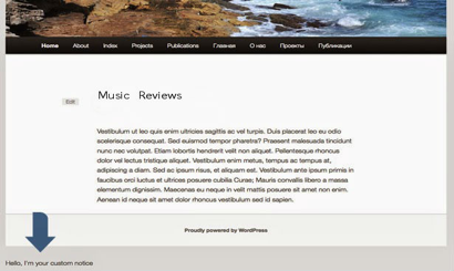 WP Music Review Plugin