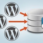 Multiple WordPress Installations